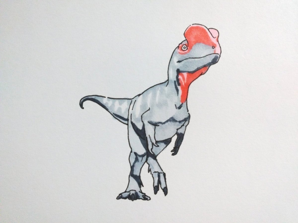 「ディロフォサウルス #dinosaur  #dilophosaurus  #恐竜」|しんいちろー🦖お絵描きのイラスト