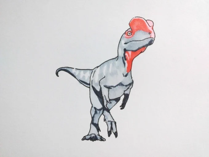 ディロフォサウルス #dinosaur  #dilophosaurus  #恐竜 