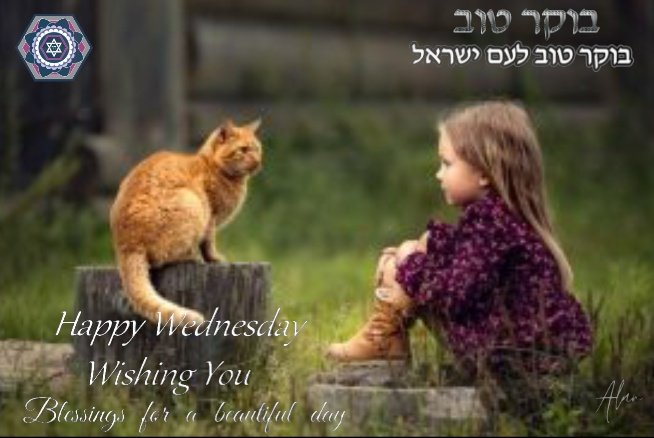 AlanZionist's tweet photo. @lizBeth_Hineni Shalom thank you very much honey, may our beloved Elohim bless this day in all your activities.
๐บ๐๐๐๐บ
#WE #BokerTov #HappyWednesday #Blessed #Tefilot https://t.co/U9HuzfqCJJ