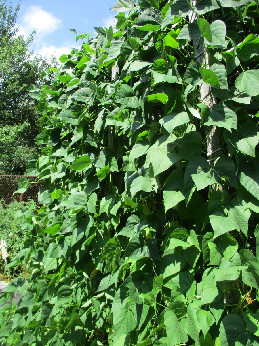 TakeActionGroup's tweet image. A HUGE THANKS to @welldartmouth, @john_high, and @HarbourViewElem for a VERY Successful Season thus far! :)