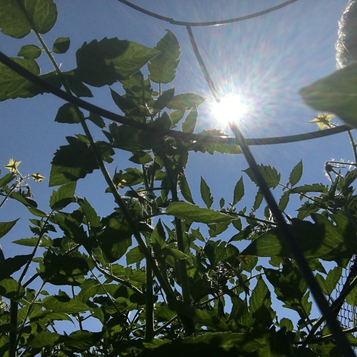 TakeActionGroup's tweet image. A HUGE THANKS to @welldartmouth, @john_high, and @HarbourViewElem for a VERY Successful Season thus far! :)