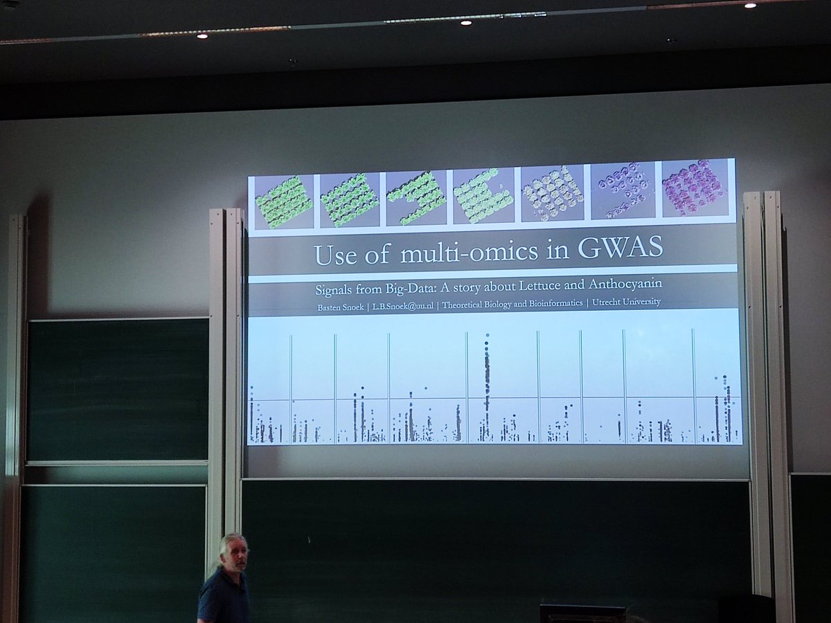 LettuceKnow's tweet photo. Basten Snoek on the stage of a perfectly organized #epssummerschool with a story about lettuce, anthocyanin and GWAS studies. Multi-omics and big data are driving #lettuceknow research more now than ever! @UU_Plants @EPSGradSchool https://t.co/rj9zUO97qw