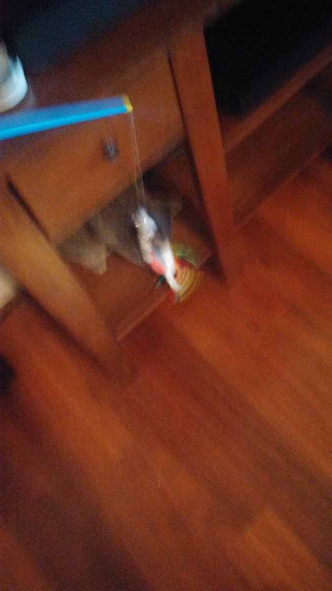 LargeJoseph3's tweet photo. @sashaarcy @MintyKitt My life has been turned around. I feel much better now. Here is a picture of me cat fishing https://t.co/M5BVcYdQ3A