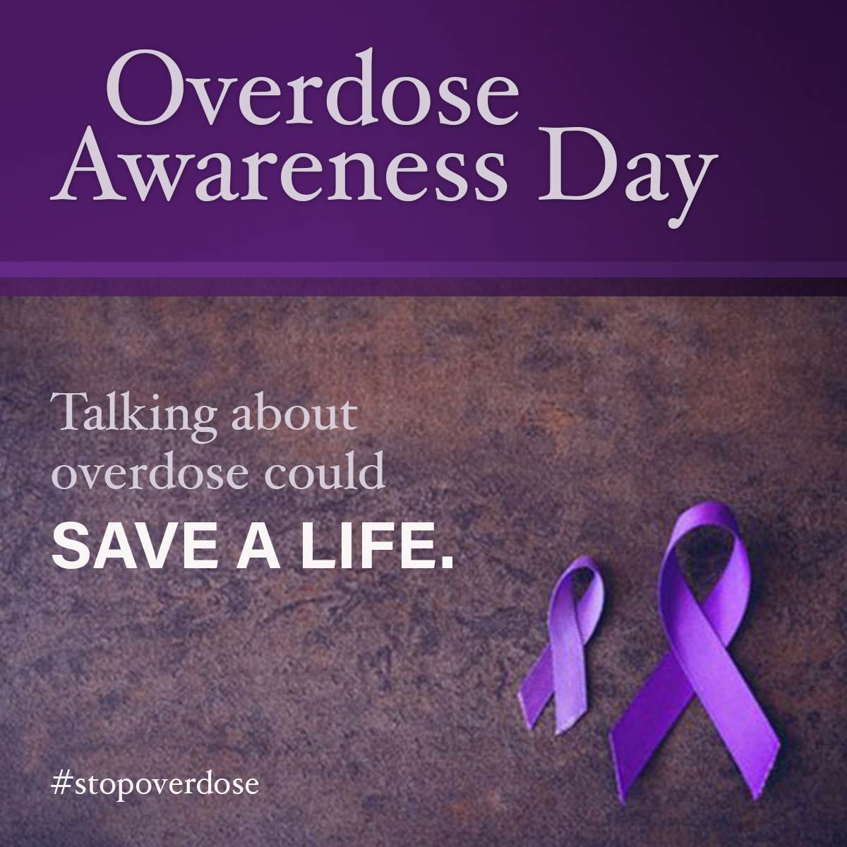 Patty Ritchie tweet media