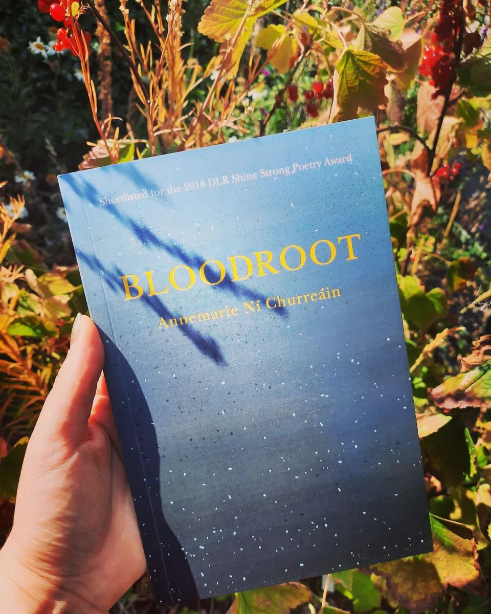 Thrilled that #bloodrootpoetry by @Doirepress will be among 21 titles being gifted by @artscouncil_ie to @IrishRail & @buseireann passengers on Friday 23 September as part of the @CultureNight #ReadMór project! ​Fly high & bright​​!🕊️More info here→⇻⇛
artscouncil.ie/read-mor/