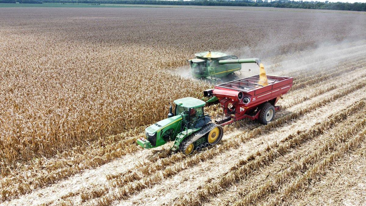 RevereSeed's tweet photo. Some of the most beautiful photos are captured when harvest rolls. Here's your window to #RevereSeed1707 VT2P being cut this week in Jefferson County, Arkansas. Good-looking stuff! #RevereCorn #prettycorn #harvest22 https://t.co/trXRPfzRLf