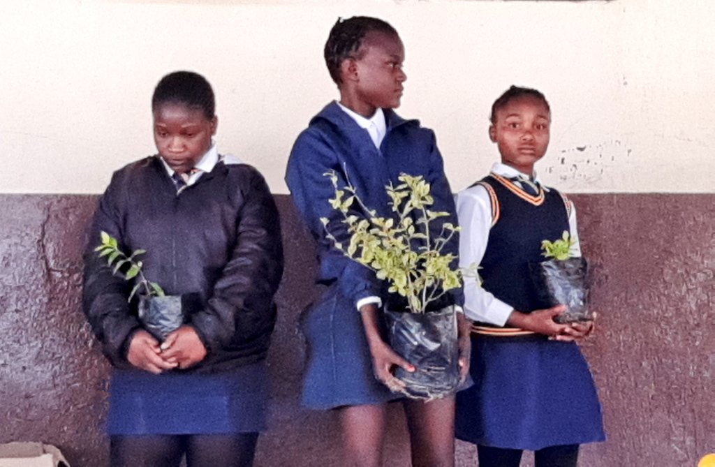 environmentza's tweet photo. Today the Department is at Ifalethu Primary School in Nyongane Village @CityofMbombela as SA gears to celebrate #ArborMonth2022 in September.
#ClimateChangeActionNow
#GoodGreenDeeds https://t.co/XLrPMyx0CX