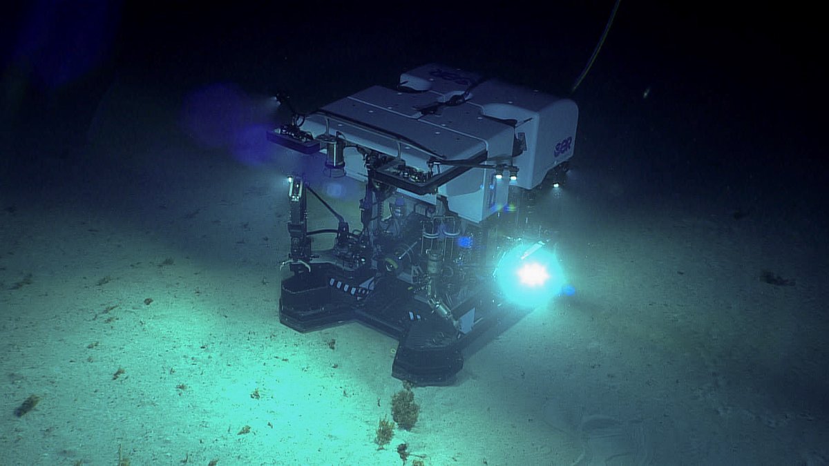 oceanexplorer's tweet photo. We have a deep dive in the Puerto Rico Trench today, at 6,000 meters (3.7 miles)!! ROVs are set to launch at 8:30 am ET, but won't reach the seafloor until ~11:50 am ET.  Join us live:
https://t.co/PhIY0Pn2MF

#Voyagetotheridge #Okeanos https://t.co/VaZeDzvIxL