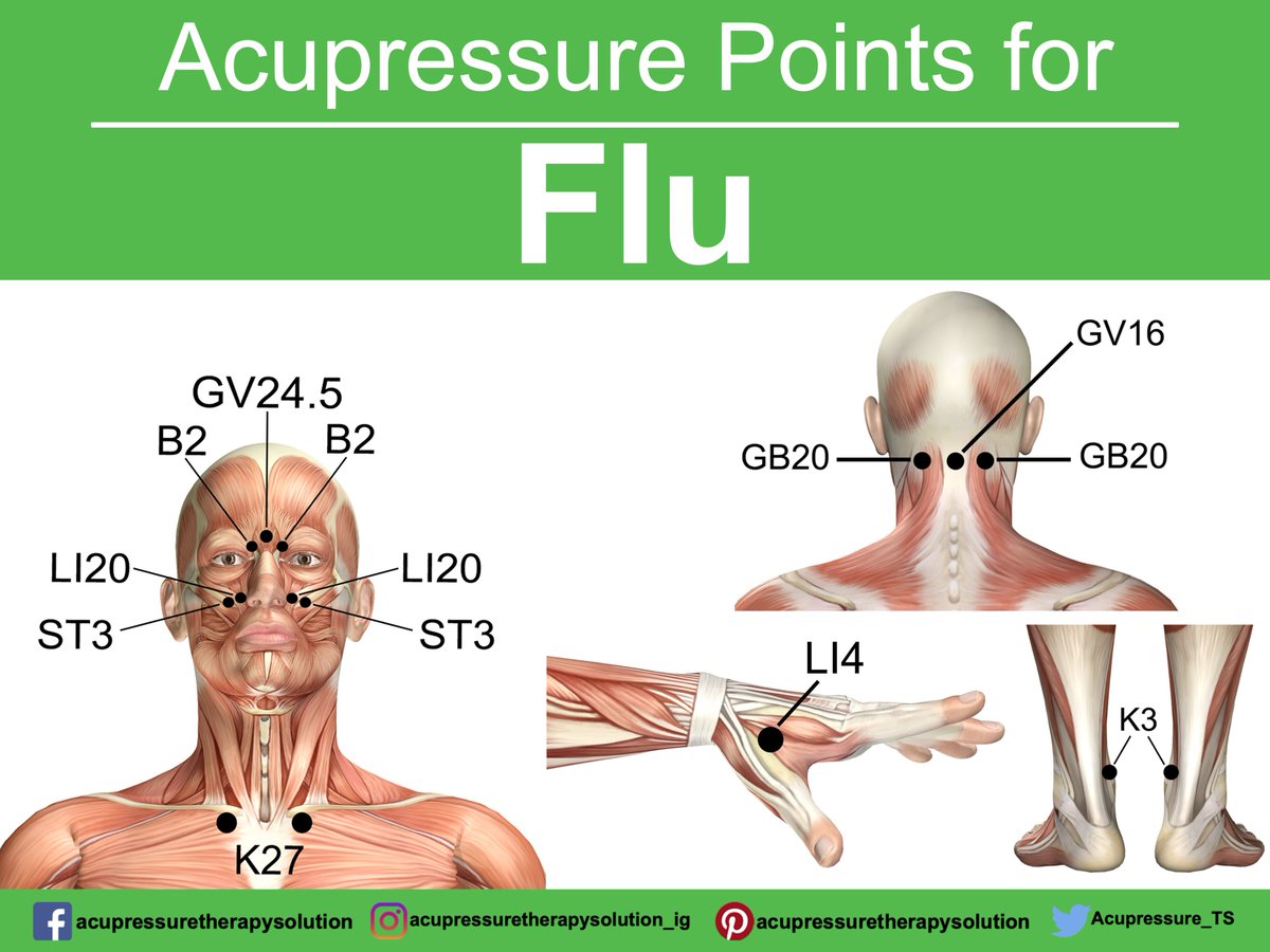 Acupressure_TS's tweet photo. Acupressure Points for Flu
If you have symptoms “Flu” try using this point to treatment.
>>> Click here to Get "The Ultimate Acupressure Quickstart Guide!"
https://t.co/CJYlJb8TZ2
#flu #flutreatment #fluremedies #flurelief #freeflu #acupressure #tcm https://t.co/Vob0lTU4TE