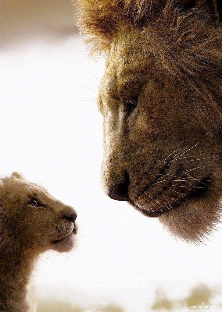 Every father should teach his son these 10 life lessons.

~ Thread ~ https://t.co/zTQaeaU99H