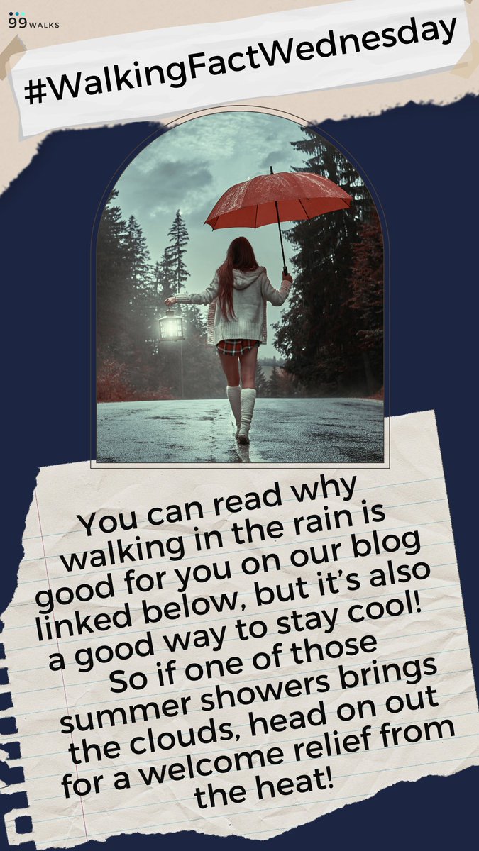 joycershulman's tweet photo. The smell of rain. Cleaner air. The chance to see the world in a different way. The opportunity to remind ourselves not to let little inconveniences stand in our way. Just a few of the reasons to walk in the rain. 
https://t.co/paGStS0SsJ
#jettifit #99walks #walkingfactwednesday https://t.co/vsQlwDxrT5