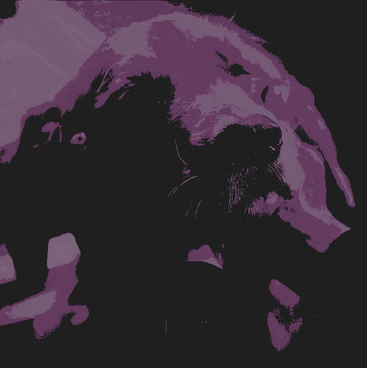 ᅟᅟᅟ
ᅟᅟ
ᅟᅟᅟᅟᅟᅟ𝒍ucky in his 𝐦𝐨𝐦𝐞𝐧𝐭
ᅟᅟᅟᅟᅟᅟi͜͡nᅟ 𝑡heᅟ m͟or͟ni͟ng .
ᅟᅟ
ᅟᅟ