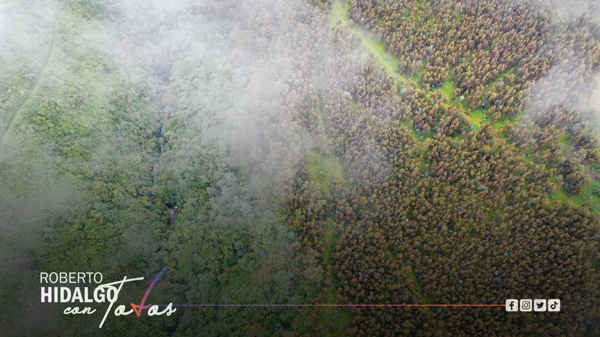 rober_hidalgo70's tweet photo. ¡URGENTE! Quieren fraccionar el Bosque Santa Catalina, que fue subastado ilegalmente por @inmobiliarec. Agradecemos a @teleamazonasec  y @elcomerciocom que se unen a la lucha por el pulmón verde de Mejía y Quito.
Ayúdanos a que el Ecuador entero conozca esta realidad. https://t.co/JO6zDHw9EP