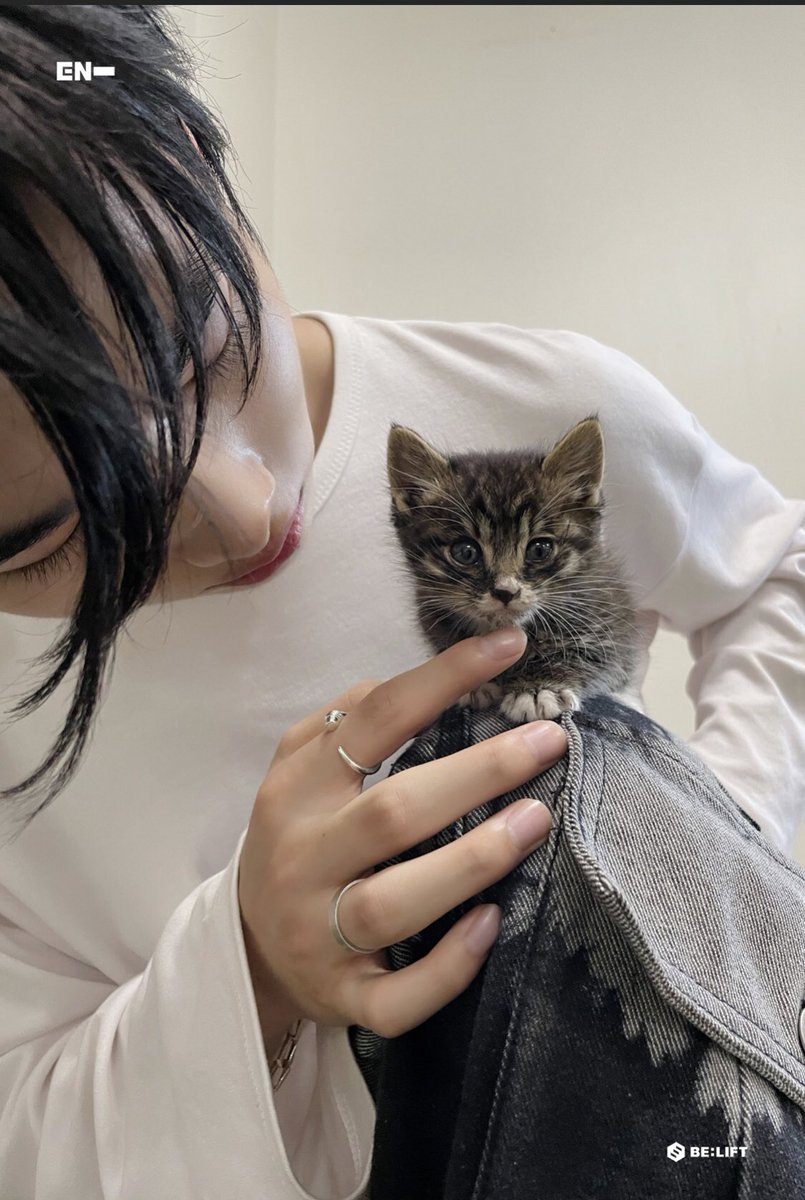nishimpss's tweet photo. Ni-ki with kitten🥹🫶🏻 
#NI_Kl #ENHYPEN #ENHYPEN_NI_KI https://t.co/9Mgfbcp5tk