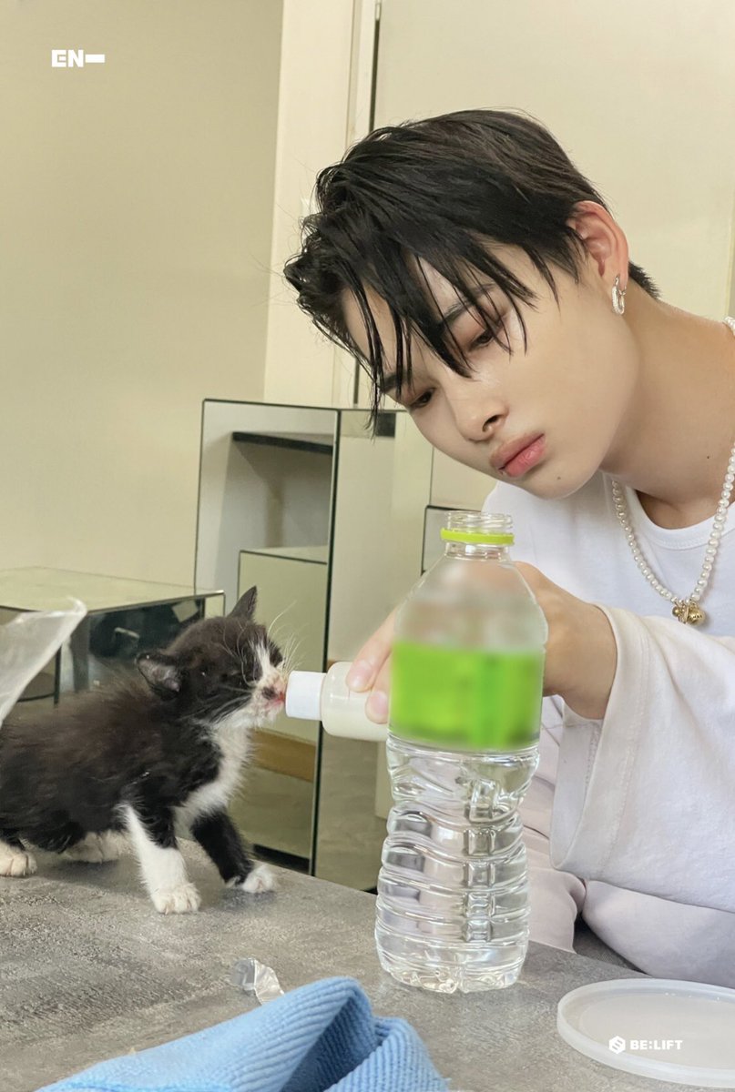 nishimpss's tweet photo. Ni-ki with kitten🥹🫶🏻 
#NI_Kl #ENHYPEN #ENHYPEN_NI_KI https://t.co/9Mgfbcp5tk