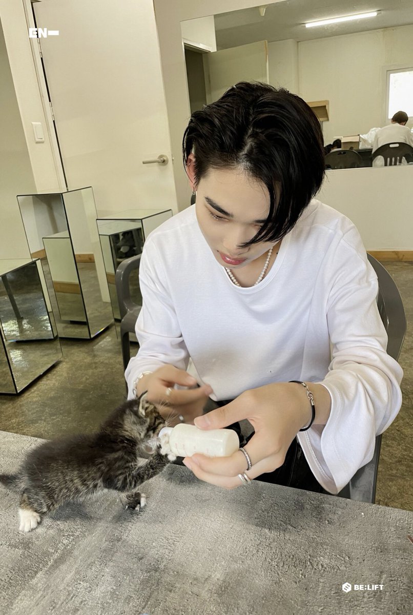 nishimpss's tweet photo. Ni-ki with kitten🥹🫶🏻 
#NI_Kl #ENHYPEN #ENHYPEN_NI_KI https://t.co/9Mgfbcp5tk