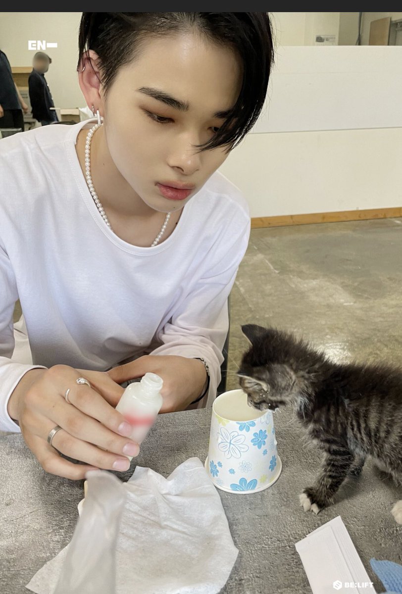 nishimpss's tweet photo. Ni-ki with kitten🥹🫶🏻 
#NI_Kl #ENHYPEN #ENHYPEN_NI_KI https://t.co/9Mgfbcp5tk