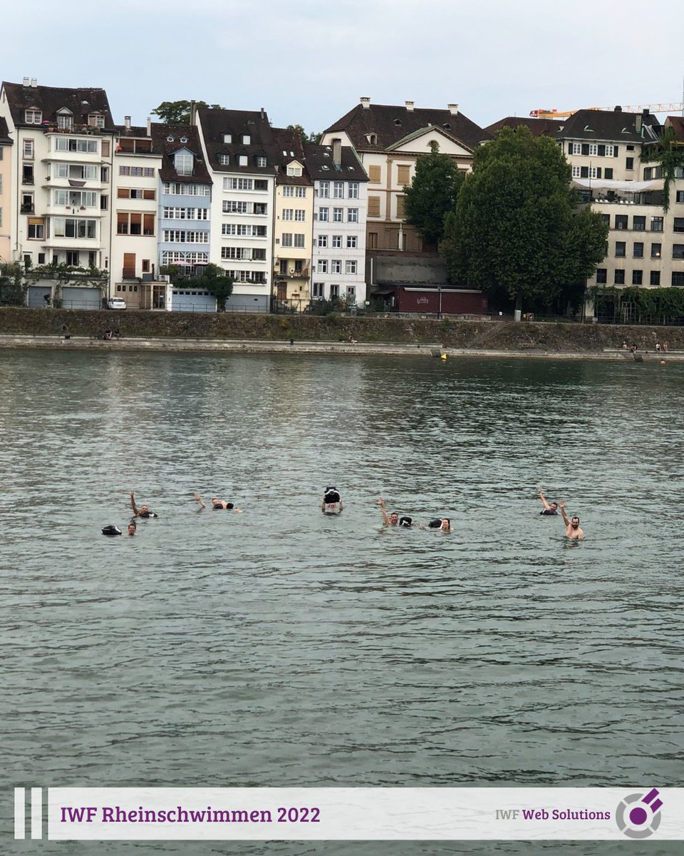 IwfWeb's tweet photo. «IWF goht dr Bach ab» 🏊 Gestern hat unser jährliches Rheinschwimmen stattgefunden. Diese feste Tradition sorgt immer wieder für die richtige Abkühlung. Etwas für den Gaumen gab es anschliessend bei einem gemütlichen Dinner. Wir freuen uns schon jetzt auf das nächste Jahr! https://t.co/RDnL3X7TFK