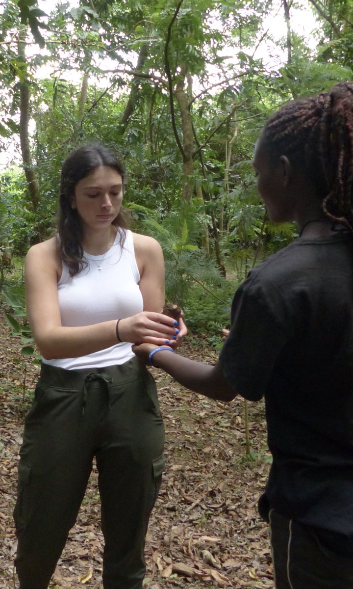 oneheartuganda's tweet photo. There’s something magical about planting a tree and imagining how it will grow. We visited the Bethany Land Institute (BLI) Lazarus Forest, where. 30,000 trees have been planted and 86 acres will be reforested in the next 5 years. https://t.co/8oO5nWtiEz https://t.co/oAtPYHYBwI