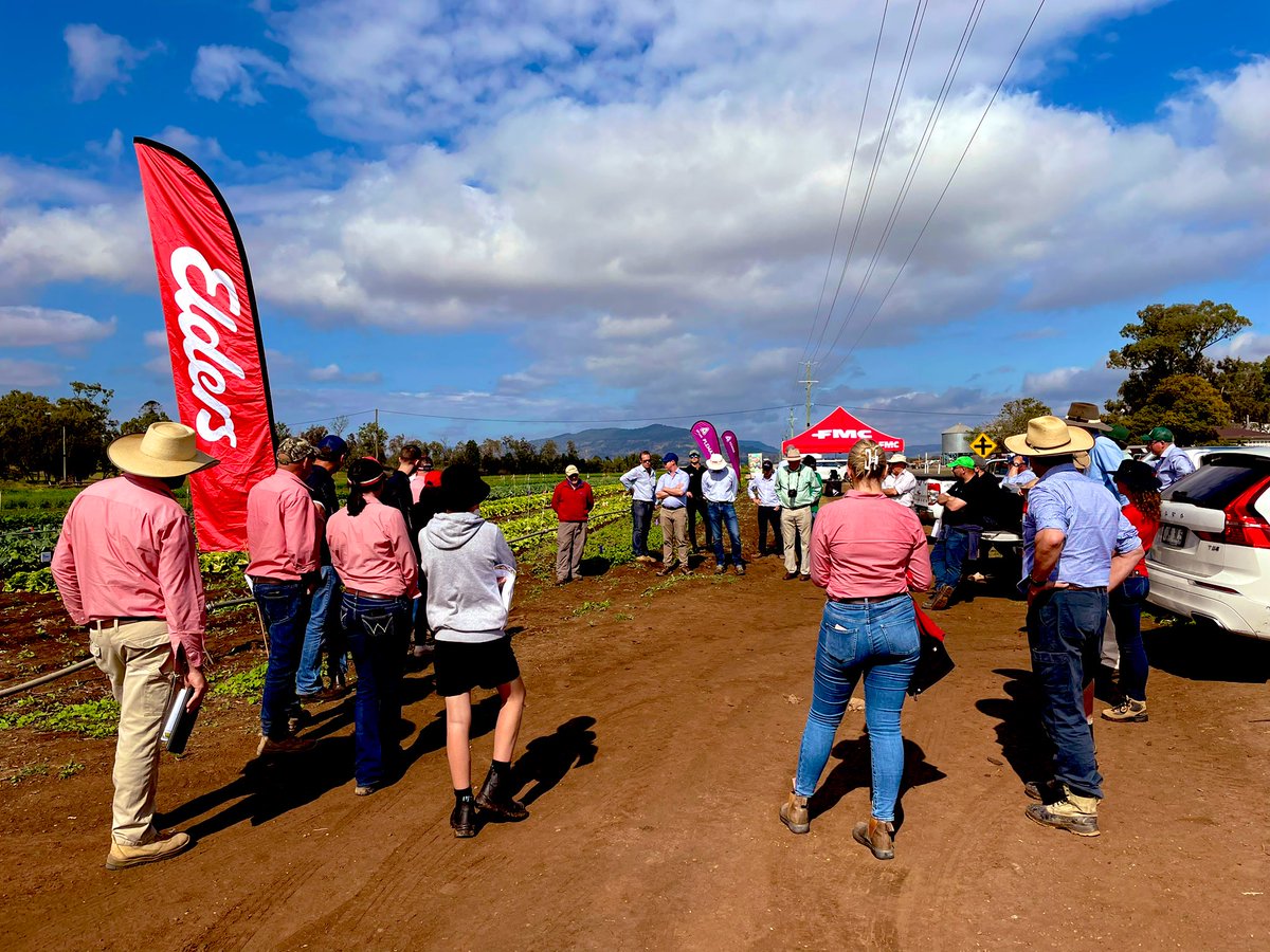 Graham Page (@grahampage01) on Twitter photo Bringing global innovation local. Amazing day <a href="/EldersLimited/">Elders</a> Gatton #horticulture field day today. Biggest thanks to our R&D partners <a href="/BASF_Agro_Au/">BASF Agricultural Solutions Australia</a> @CortevaAU <a href="/UPLAUSLtd/">UPL AUS Ltd</a> <a href="/Adama_AU/">ADAMA Australia</a> <a href="/FMCANZ/">FMC ANZ</a> <a href="/mareecrawford1/">Maree Crawford</a> <a href="/catherinecheno6/">Catherine Chenoweth</a> <a href="/BrendoMagee/">Brendan Magee</a> <a href="/TEC_Aus/">Thomas Elder Consulting</a> Bringing global innovation local. Amazing day <a href="/EldersLimited/">Elders</a> Gatton #horticulture field day today. Biggest thanks to our R&D partners <a href="/BASF_Agro_Au/">BASF Agricultural Solutions Australia</a> @CortevaAU <a href="/UPLAUSLtd/">UPL AUS Ltd</a> <a href="/Adama_AU/">ADAMA Australia</a> <a href="/FMCANZ/">FMC ANZ</a> <a href="/mareecrawford1/">Maree Crawford</a> <a href="/catherinecheno6/">Catherine Chenoweth</a> <a href="/BrendoMagee/">Brendan Magee</a> <a href="/TEC_Aus/">Thomas Elder Consulting</a>