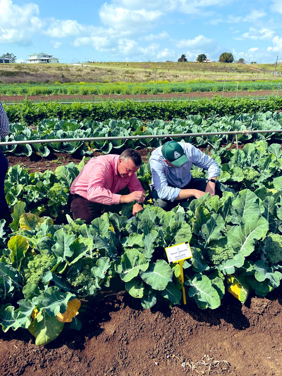 Graham Page tweet media