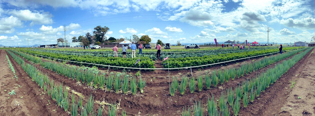 Graham Page tweet media