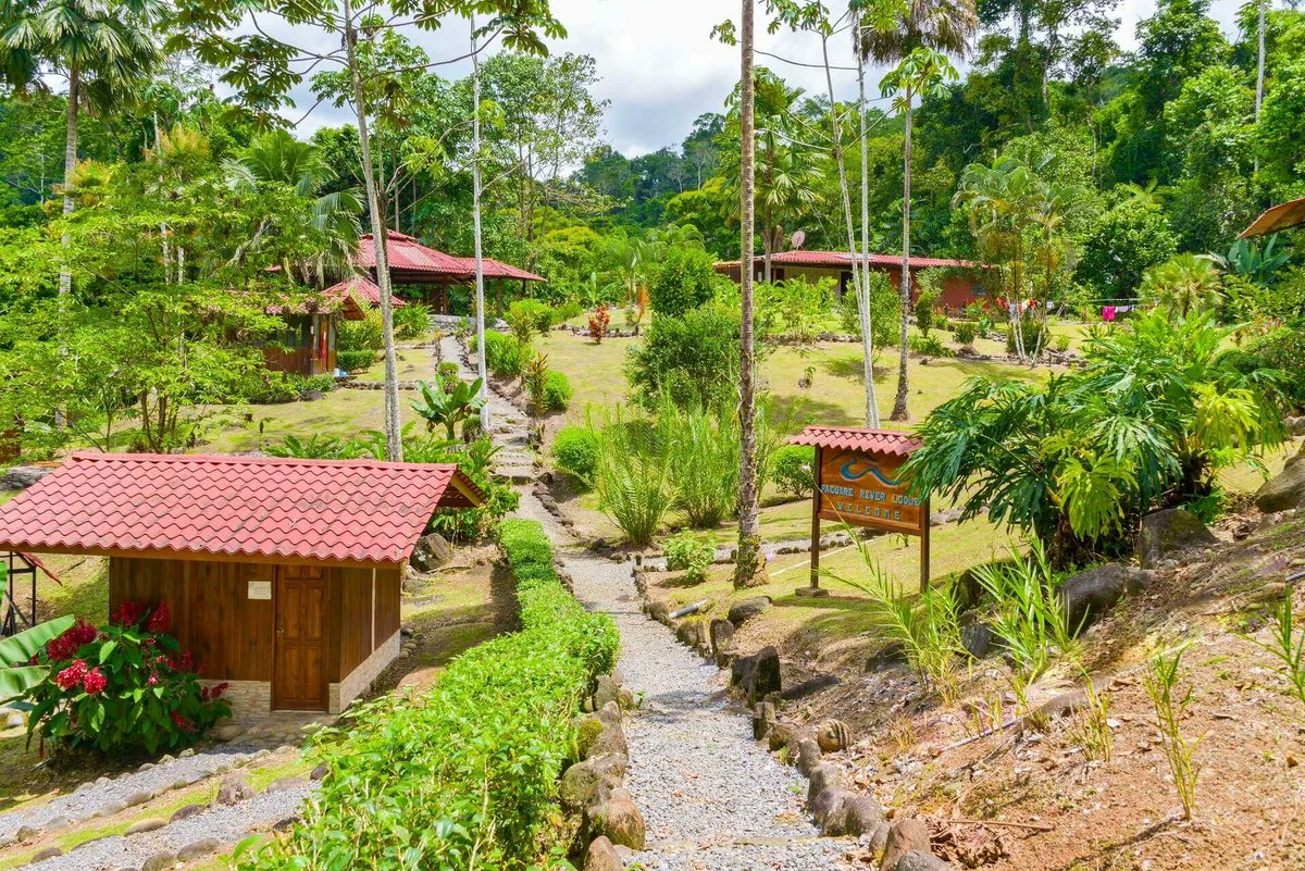 PioneerExp's tweet photo. Pacuare River Lodge is  another of our favourite eco-lodges. 
Surrounded by tropical jungles in the river valley, it offers the best whitewater rafting sections in Costa Rica. 

For more information visit: https://t.co/dC4B1gBGdp https://t.co/aALEv4ANBL