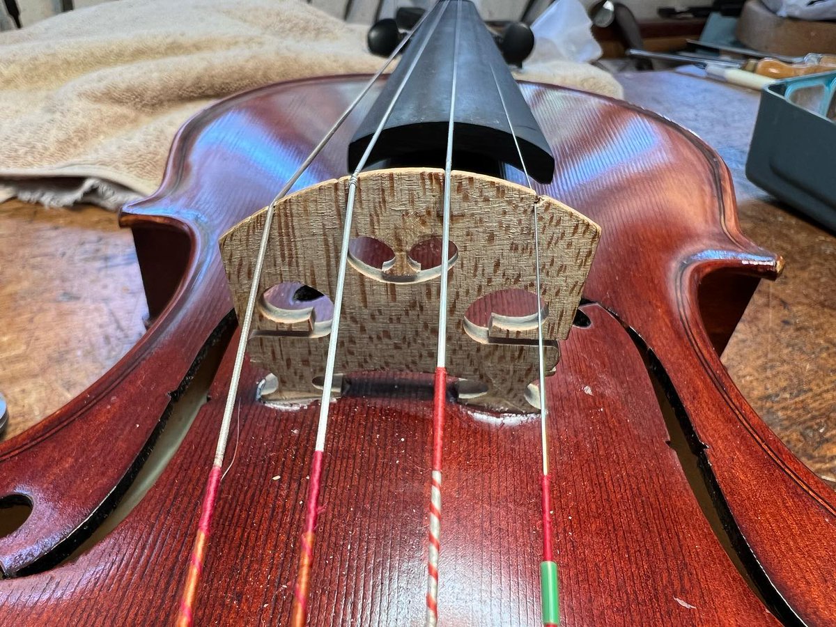 BenningViolins's tweet photo. "Dad" fixed it. A little crazy glue and voila. His heart was in the right place. #dadfix #ouch #backwards #krazyglue #nathansjob
https://t.co/45GcGGDSJN https://t.co/w7I38d8XG9