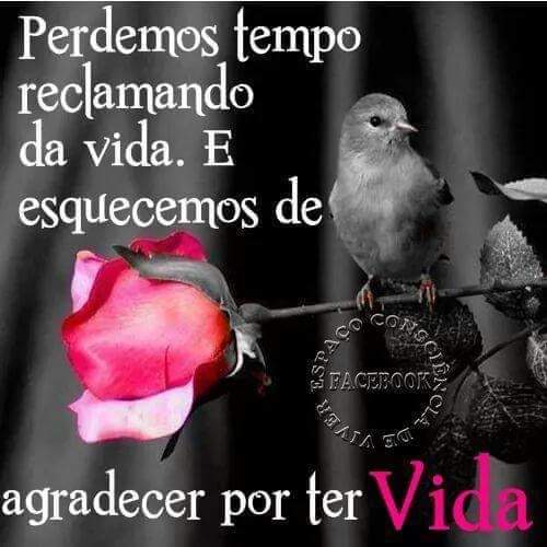 Eliana Wellensohn (@eliana48914238) on Twitter photo 