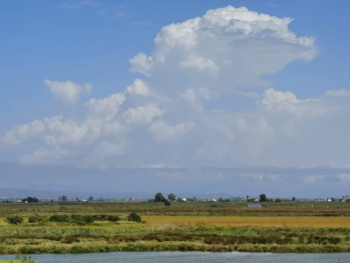 meteoecovisual's tweet photo. #nubes #convectivas desde el #deltadelebro esta mañana
#Terresdelebre
#Reservadelabiosfera
#ebro #rioebro #deltadelebre #pndeltadelebre
#deltadelebro
#meteofoto
#lluvia
#cielos #cielo
#tormenta #tormentas #ecazatormentas
#cazatormentas #meteorología
#observadormeteorólogico https://t.co/HHlhkJ2aFK