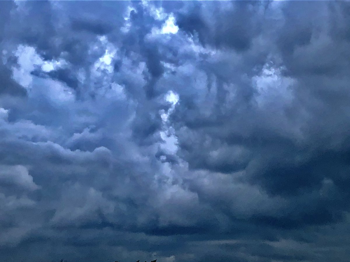 Pastor_Jim's tweet photo. Yesterday afternoon in my front yard.
#Psalm51
Let me hear joy and gladness; let the bones that you have broken rejoice. Psalm 51:8 #PsalmForToday #mymorningpromenade🏃 #stuffiliketolookat https://t.co/cbGwTLStQX