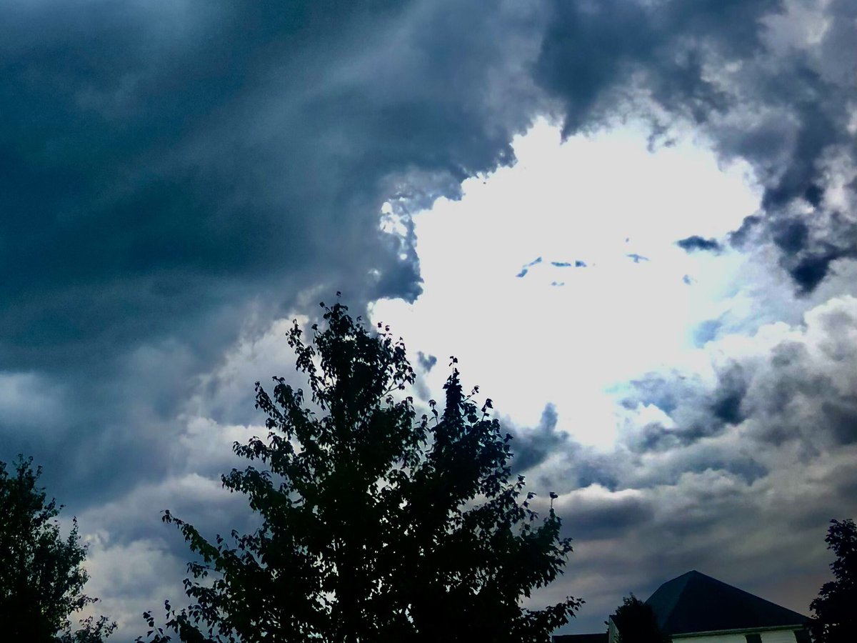 Pastor_Jim's tweet photo. Yesterday afternoon in my front yard.
#Psalm51
Let me hear joy and gladness; let the bones that you have broken rejoice. Psalm 51:8 #PsalmForToday #mymorningpromenade🏃 #stuffiliketolookat https://t.co/cbGwTLStQX