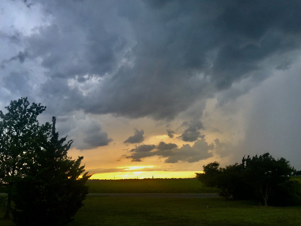Pastor_Jim's tweet photo. Yesterday afternoon in my front yard.
#Psalm51
Let me hear joy and gladness; let the bones that you have broken rejoice. Psalm 51:8 #PsalmForToday #mymorningpromenade🏃 #stuffiliketolookat https://t.co/cbGwTLStQX