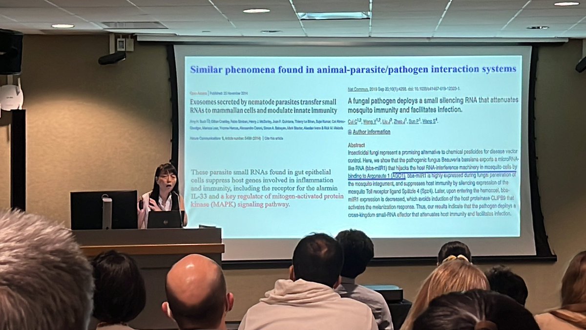 Session 9: <a href="/hailingj1/">Hailing Jin</a> on the small RNA of host and how it can inhibit virulence of necrotrophic pathogen Botrytis cinerea <a href="/JapanUSPlant/">12th Japan-US Seminar in Plant Pathology</a> #JUSPP <a href="/EpiPlantPath/">Dr. Juliana González-Tobón</a>