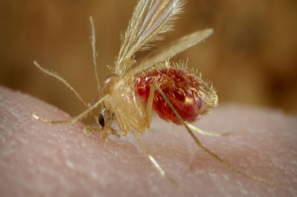 Gobierno de Córdoba tweet media