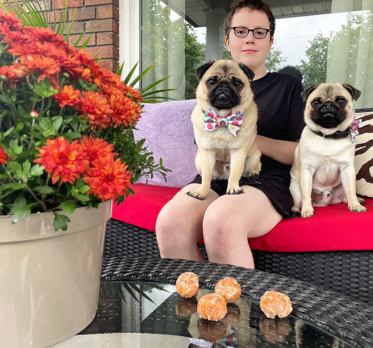 IgorPugDog's tweet photo. Our bestie Jack &amp; his Mom came to visit yesterday , bringing mums and #Timbits , we meet thd bestest, kindest people at #ChildrensHospital  💜💚💜💚💜❤️

#pug #kdnont @CHFHope @lhsc https://t.co/pl57zmVsNW
