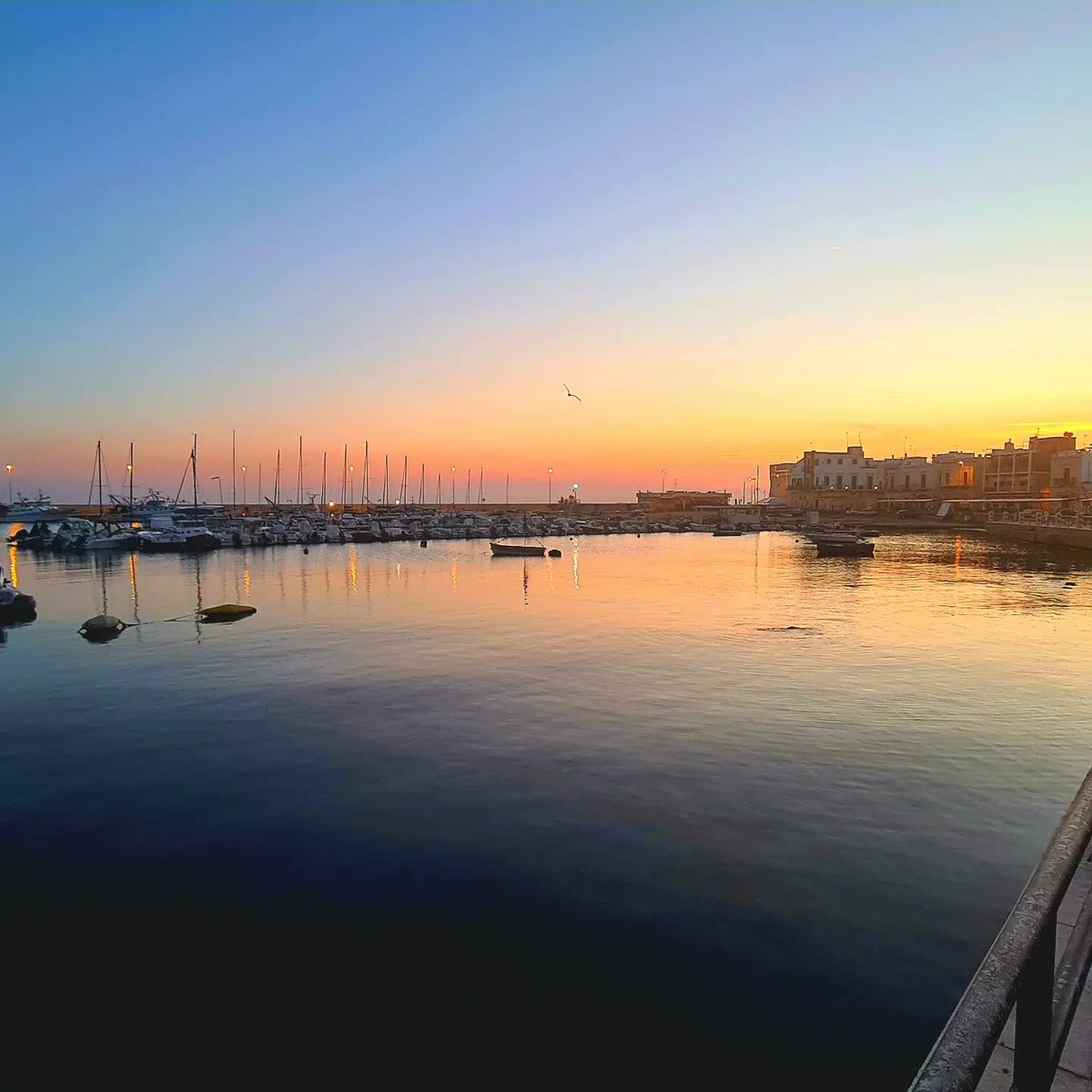VerrielloFranco's tweet photo. L'ALBA A SANTO SPIRITO
Quando il sole sorge ogni cosa deve ancora iniziare, la giornata si presenta piena di possibilità e di eventi magnifici. È quasi un peccato quando le ore passano, la città si risveglia e si ripopola di persone che inseguono i propri impegni quotidiani. https://t.co/Mf9Q7LeFoy
