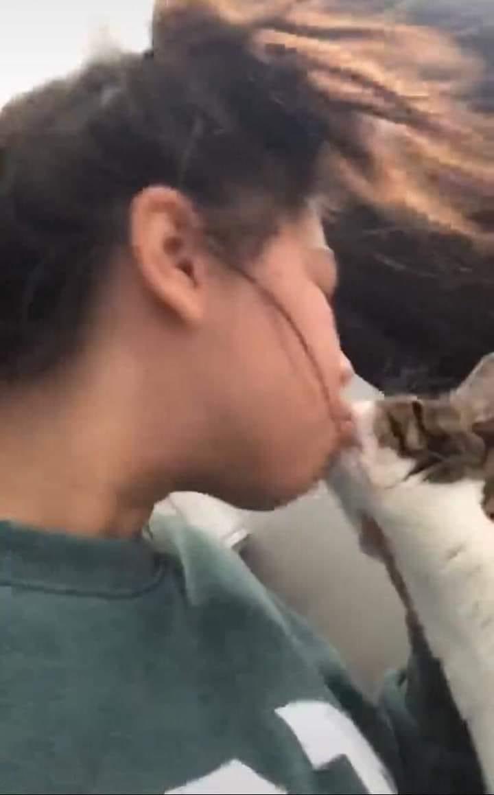 DoseOfCatto's tweet photo. Disgusting 😾
#CatsOfTwitter #Meow
#Cat #Cats #Kitten #Kittens #DailyDoseOfCatto #DoseOfCatto #CuteCats #LifeOfCats https://t.co/LCREZmstJ3