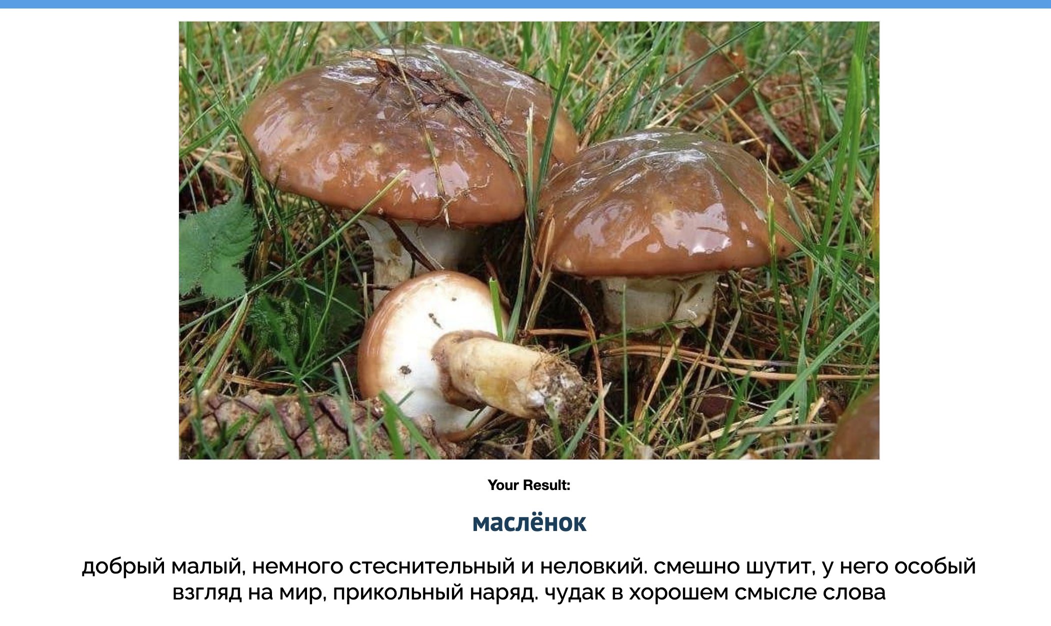 Грибы названия маслята