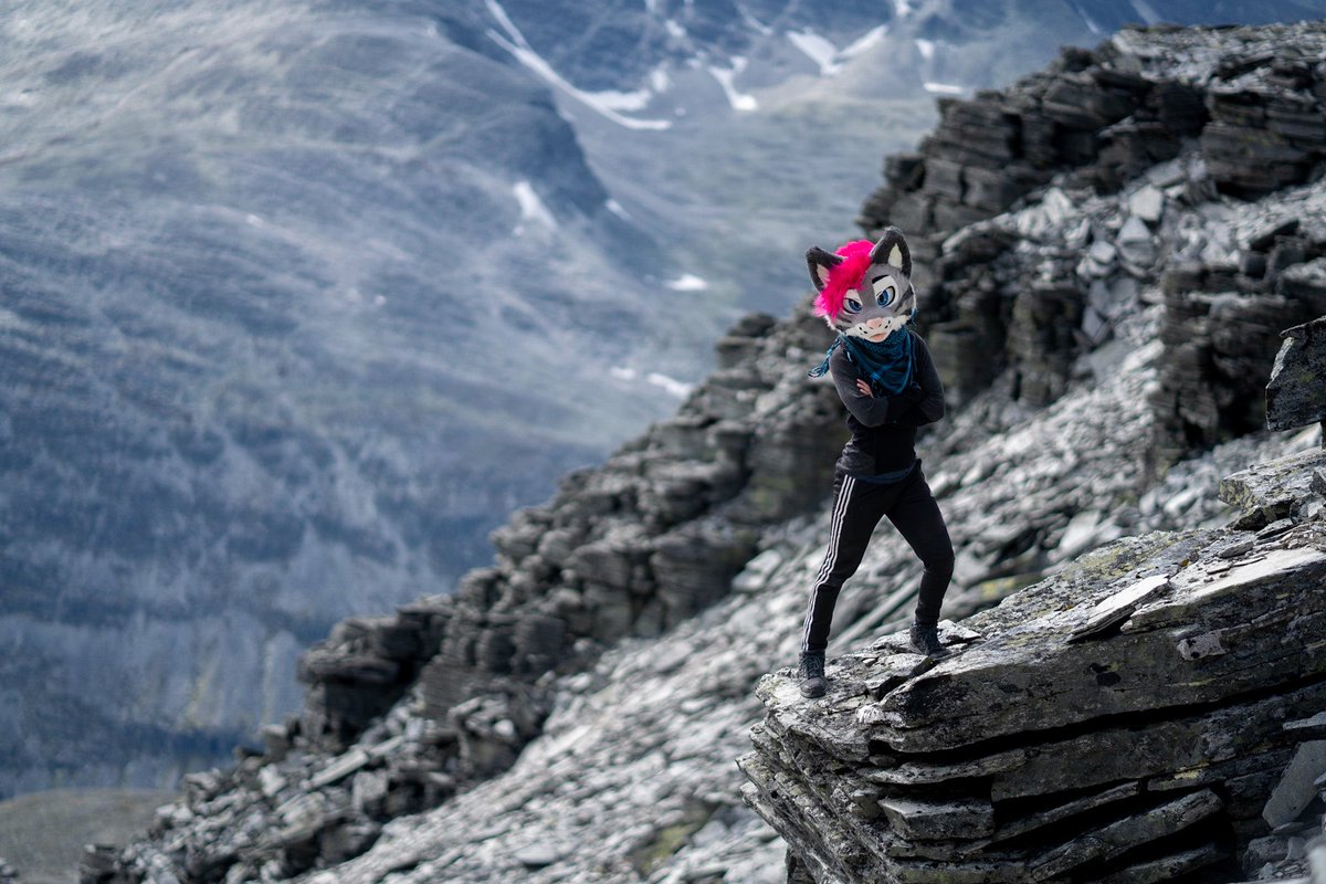 Melon_mow's tweet photo. To all my new (and old) lovely mutuals: Come visit Norway and I'll take you to the mountains and the fjords! This is an official invite!!
📸@UsagiPhoto / 🎨moi https://t.co/rUhqco5GFo