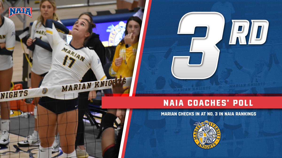 Marian Knights tweet media