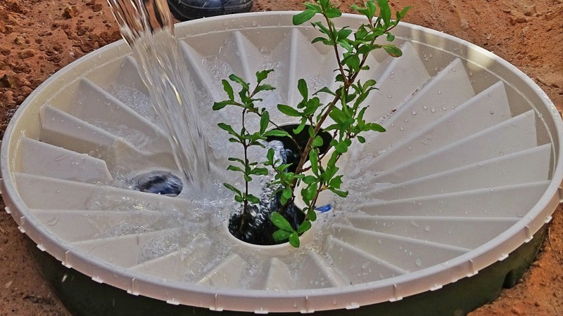 groasis's tweet photo. #Groasis believes in the #Treesolution https://t.co/7OmfR5vZR6. A vision and mission that we can realize by planting trees with the #Waterboxx where this was not possible. 
The #SundayRead: Can Planting a Trillion New Trees Save the World? Email them at thedaily@nytimes.com https://t.co/P7CTIf2mlx