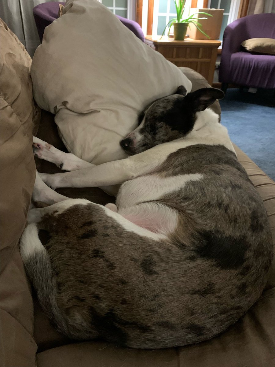 Lisa Caulfield tweet media