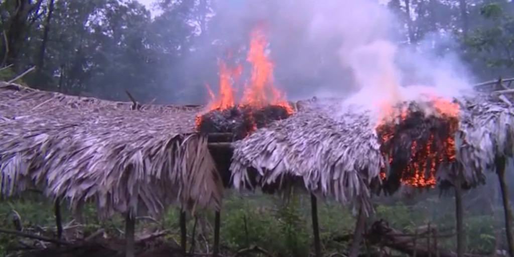 CEOFANBVE's tweet photo. RT || #FANB🇻🇪 desplegada garantizando la soberanía y la integridad territorial en los caños del Delta del Orinoco, desmantelando campamentos que sirven de soporte logístico a organizaciones delincuenciales dedicadas al contrabando de extracción, trata de personas y narcotráfico. https://t.co/qfa7DybOGN