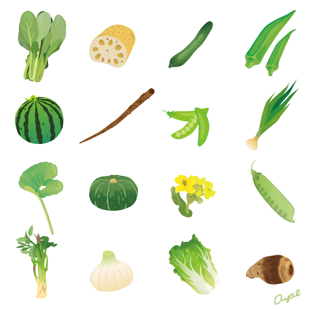 تويتر 野菜イラスト بحث تويتر