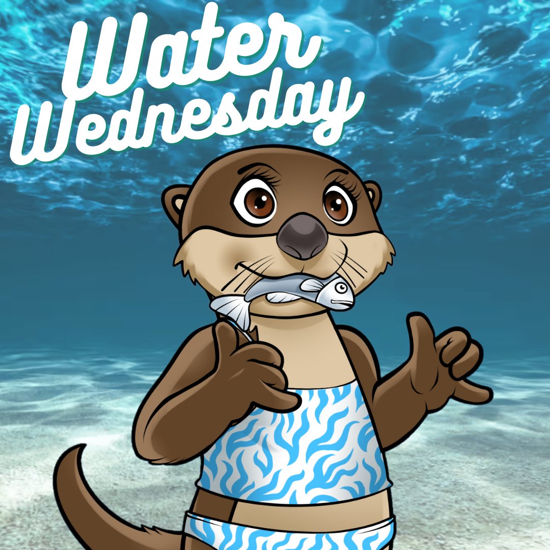 LotteryOtters's tweet photo. Happy ~water Wednesday~!! Did you know that river otters can dive to a depth of 60 feet?!? #otters #funfact #waterwednesday https://t.co/16KEepL7Oc