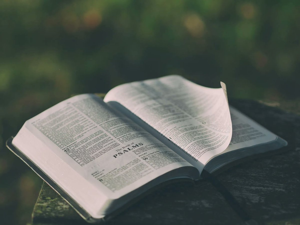 OpenDoor Church tweet media