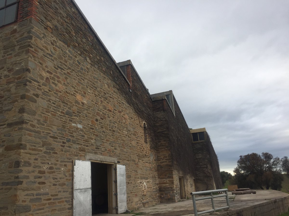 CharlesGent's tweet photo. Defibrillating a dormant winery in the back-blocks of Eden Valley. Three lip-smacking red varietals from the old vines so far, with a burster of a blend in barrel. Go #Stonegarden Wines! https://t.co/VqBIxM7SlP