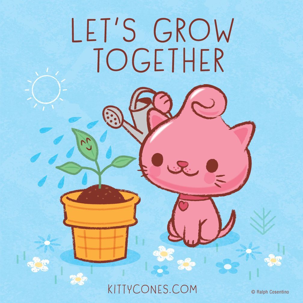 Kitty Cones Official tweet media