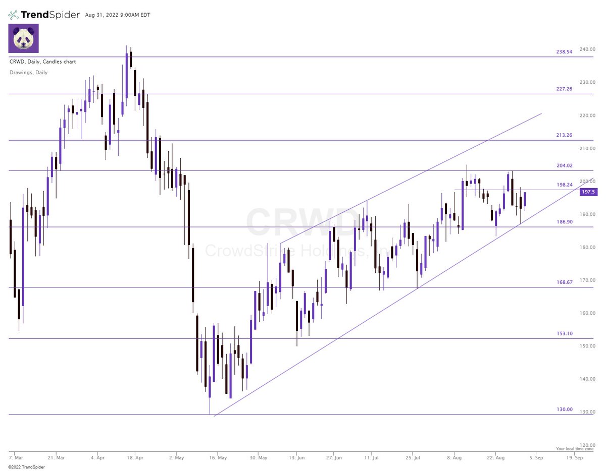 twinsight_x's tweet photo. Good Morning 🌄

$SPX $ES_F futures up 17 overnight. Above 4000 targets a relief bounce to 4020-4055 today. Below yesterdays low sets up 3940-3900 next. 

$CRWD earnings yesterday mostly muted but holding up. Above 198 can run to 205 next. https://t.co/xWjBSiMKAV